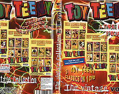 Toy Miniature Get under one's vintage Vol.1 Collection