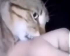 Cat grabs the arm of a Chilean the epic wea