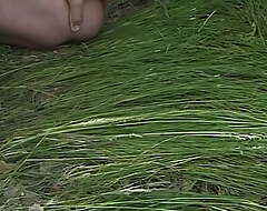 Exotische Schlampe im hohen Gras Alfresco gefickt